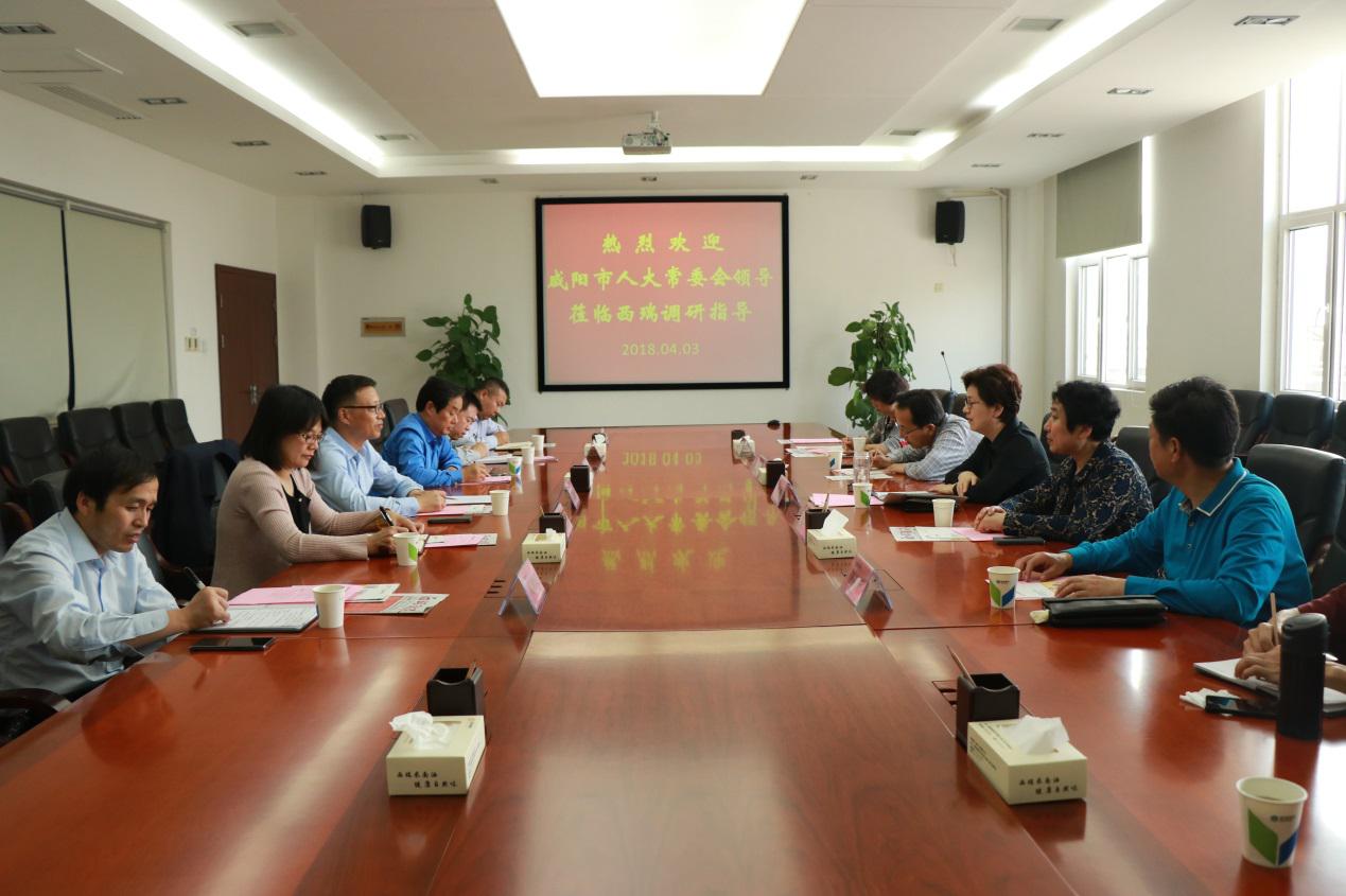 咸陽市人大黨組副書記、副主任肖芳到西瑞集團考察調(diào)研