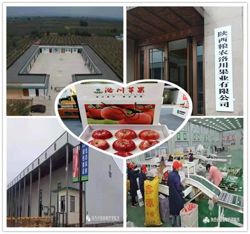 陜西糧農洛川果業(yè)有限公司獲批為鄭商所蘋果期貨指定交割廠庫