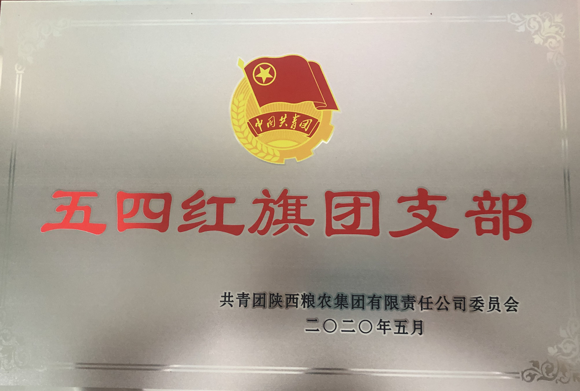 喜報(bào)！五四青年節(jié)，油脂集團(tuán)多位青年喜獲陜西糧農(nóng)集團(tuán)榮譽(yù)！