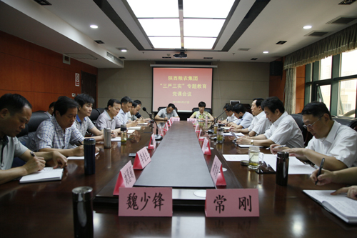 陜西糧農(nóng)集團召開“三嚴(yán)三實”專題教育黨課會議