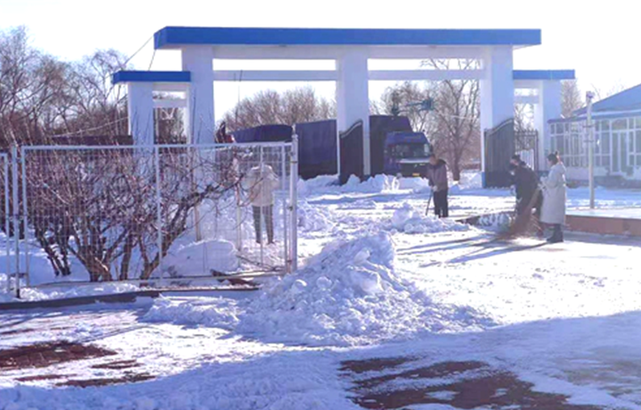 儲備糧管理集團(tuán)：戰(zhàn)嚴(yán)寒、清暴雪 集團(tuán)開魯庫保秋糧入庫