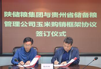 陜儲(chǔ)糧集團(tuán)與貴州省儲(chǔ)備糧管理公司簽訂《玉米購(gòu)銷(xiāo)框架協(xié)議》