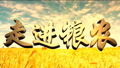 4分鐘，閱讀奮斗崛起中的糧農(nóng)集團！