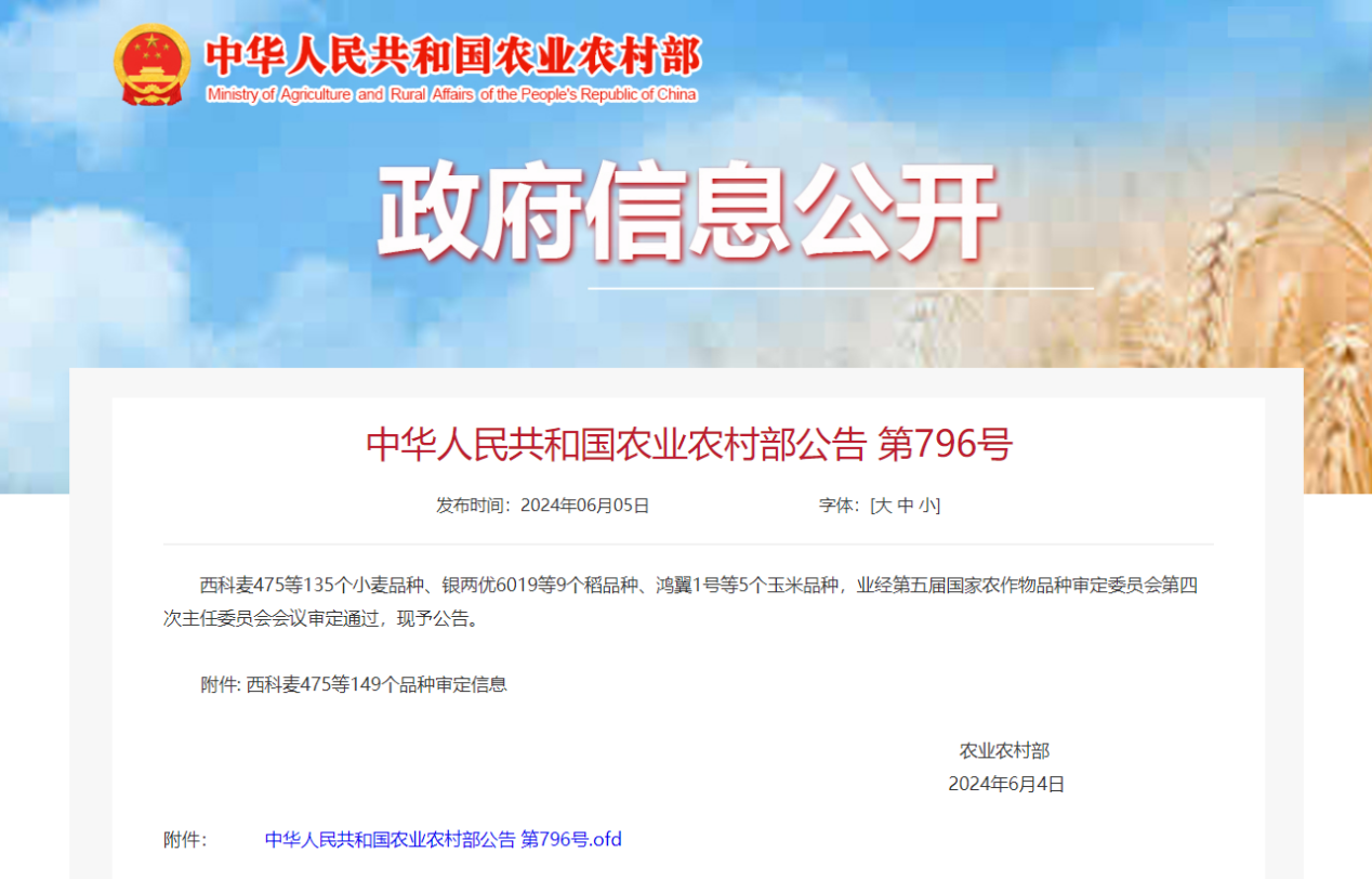 秦豐種業(yè)：優(yōu)質小麥新品種“偉隆302”通過國家審定